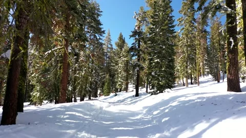 SierraSpringSnow10 Vídeos de archivo 252604610