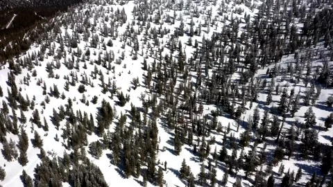 SierraSpringSnow14 Stock Footage 252604574