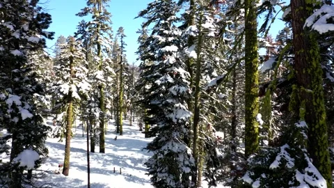 SierraSpringSnow8 Video stock 252604683