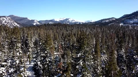 SierraSpringSnow9 Video stock 252604678