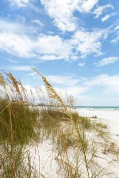 Siesta Key Florida Stock Photos