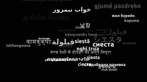 Siesta Translated in 41 Worldwide Languages Endless Looping 3d Zooming Wordcl Stock-Footage 145213612