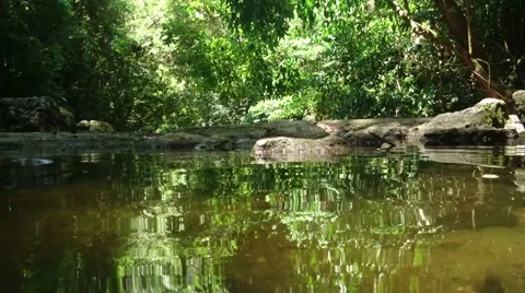 Siete Altares Stream Vídeo Stock 65298782