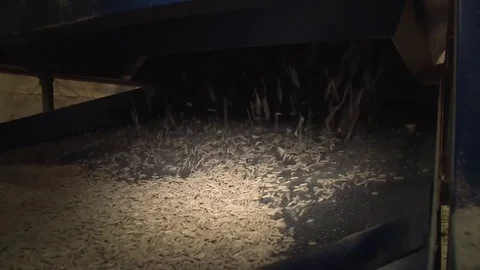 Sieve unit for the purification of pig feed from unnecessary impurities. Stock Footage 83282612