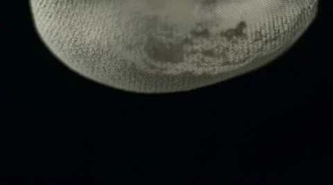 Sieving flour Stock Footage 12659302