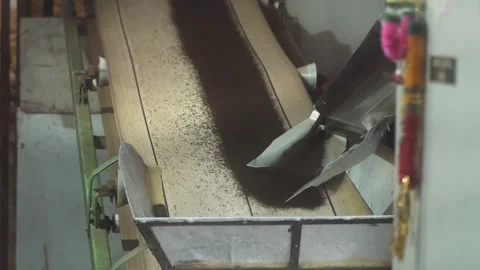 Sieving process inside a tea factory with convey belt carrying black tea Stock Footage 242984288