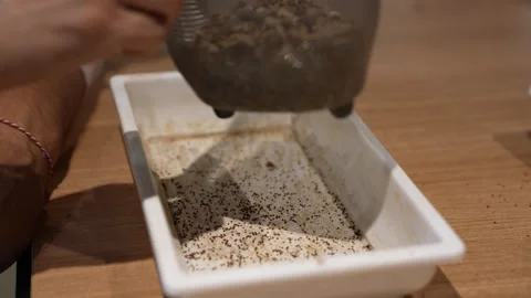 Sieving Seeds Over Tray for Sorting or Cleaning Video stock 311868797
