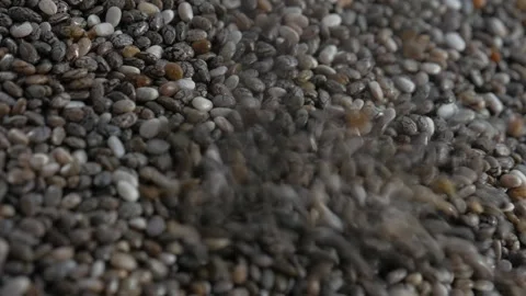 Sift chia seeds. Stock Footage 97927919