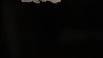 Sifted Flour Falling Against Black Background in Slow Motion Stock Footage 85533384
