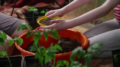 Sifting compost through sieve to create soil mixture for home garden Vídeos de archivo 231597411