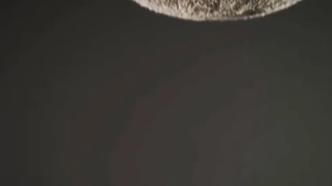 Sifting flour through a sieve slow motion Stock-Footage 84602288