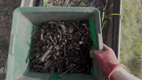 Sifting fresh compost. Separation soil and yet uncomposted parts. Stock Footage 271028873