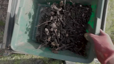 Sifting fresh compost. Separation soil and yet uncomposted parts. Stock Footage 271028879