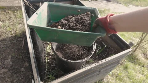 Sifting fresh compost. Separation soil and yet uncomposted parts. Stock Footage 271028881