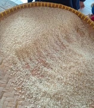 Sifting rice 스톡 사진