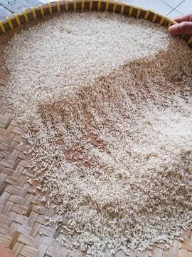 Sifting rice 스톡 사진