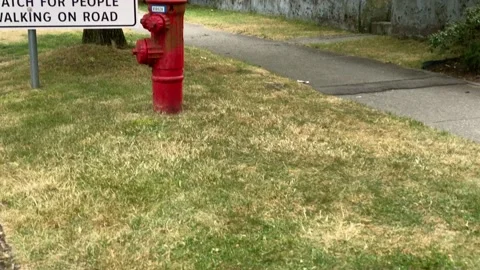 Sigh Stock Footage 136561609