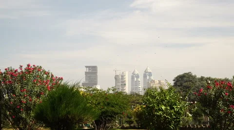 Sight from garden on buildings. 스톡 동영상 67088712