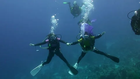 Sight of group of paddle divers in gear as they explore depths underwater. Video stock 235770782