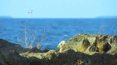 Sight at the lake Video stock 33868254