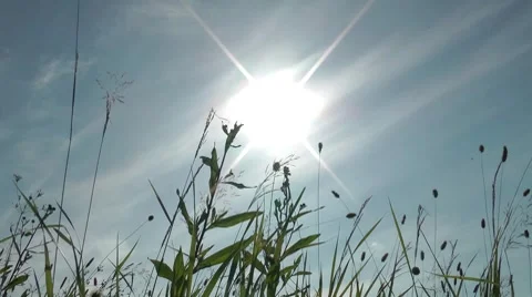 Sight from a macrocosm in space world Stock Footage 8563778