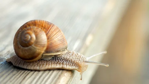 Sight, steps and slow motion into the abyss. Macro, super close up. Stock Footage 129755885