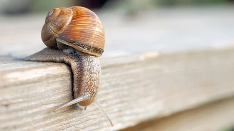 Sight, steps and slow motion into the abyss. Macro, super close up. Stock Footage 129755891