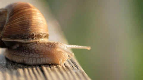 Sight, steps and slow motion into the abyss. Macro, super close up. Stock Footage 129755904