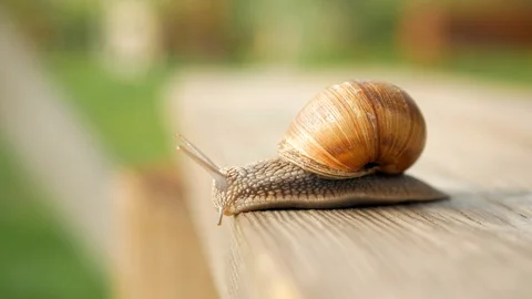 Sight, steps and slow motion into the abyss. Macro, super close up. Stock Footage 129756008