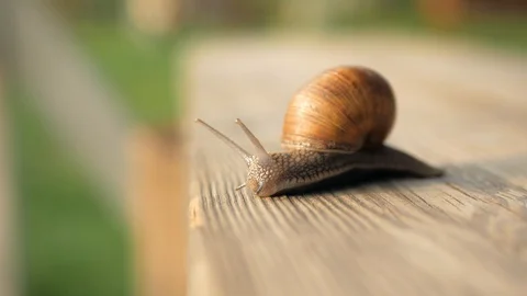 Sight, steps and slow motion into the abyss. Macro, super close up. Stock Footage 129756055