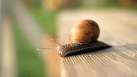 Sight, steps and slow motion into the abyss. Macro, super close up. Stock Footage 129756105