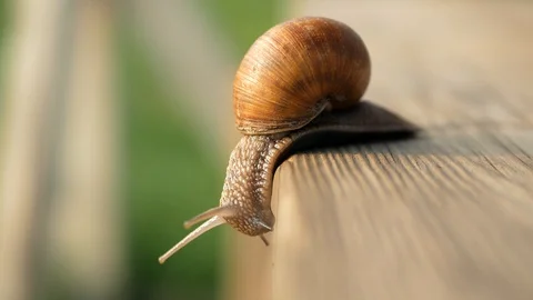 Sight, steps and slow motion into the abyss. Macro, super close up. Stock Footage 129756143