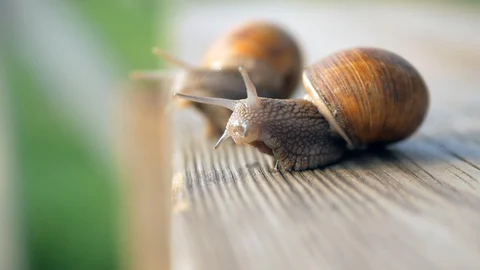 Sight, steps and slow motion into the abyss. Macro, super close up. Stock Footage 129756259