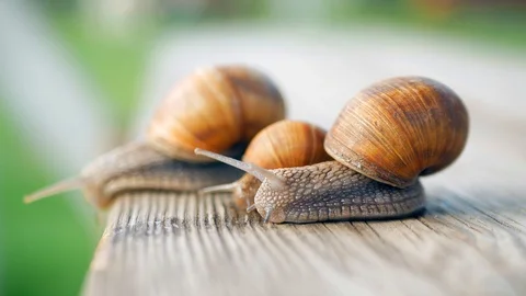 Sight, steps and slow motion into the abyss. Macro, super close up. Stock Footage 129756338