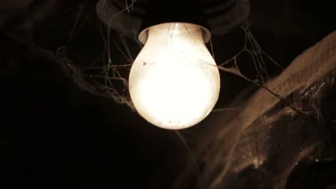 A sight of a white-shining fluorescent lamp with cob webs Stock Footage 141589286