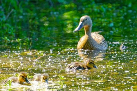 At sights Stock Photos