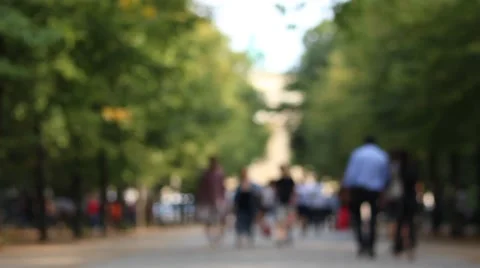 Sightseeing in the park at brandenburg gate 스톡 동영상 41674129