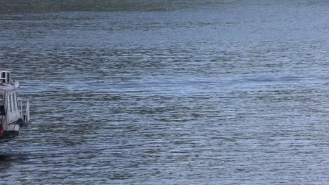 A sightseeing ship cruises on the Danube river Vidéo 119317752