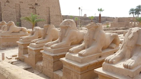 Sightseeing in the Temple Stock Footage 87068855