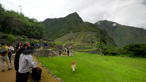 Sightseeing Visitors Explore Ancient Mountain Ruins and Valley Wildlife Stock Footage 344365506