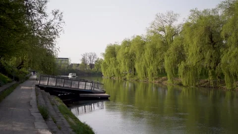 Sightseeng boat floating on river with willow trees Stock Footage 279719841