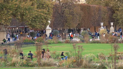 Sightseers exploring the pathways of Tuileries Garden in Paris, France in Fall Stock Footage 231144947