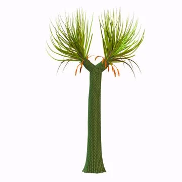 Sigillaria Tree Stock Illustration