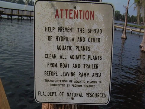 Sign "Attention: Help prevent the spread of Hydrilla" Stock Footage 41361702