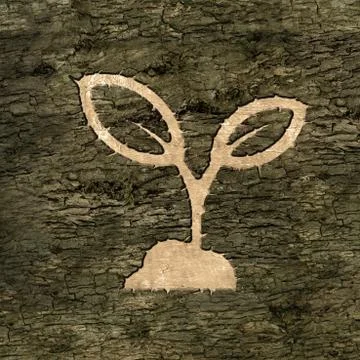 Sign on the bark of a plant Stock Illustration