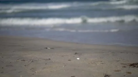 A sign on a beach Stock Footage 156015042