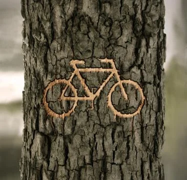 Sign bicycles on the bark Stock Illustration