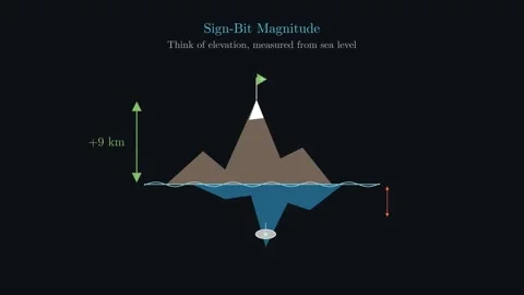 Sign-Bit Magnitude - How one single bit decides plus or minus Видео 340871482