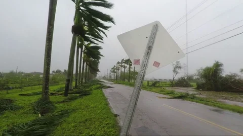 A sign blows wildly in the wind during Hurricane Irma in Florida. Stock-Footage 80137023