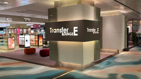 Sign board for Transfer Lounge E at Singapore Changi Airport. Vídeos de archivo 314335532